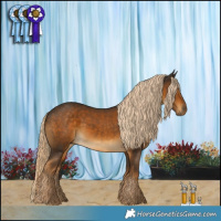 Horse Color:Chocolate Palomino 