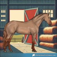 Horse Color:Red Dun 
