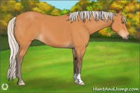 Horse Color:Silver Bay