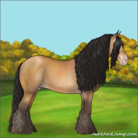 Horse Color:Gray Amber Champagne