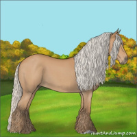 Horse Color:Silver Bay Roan 
