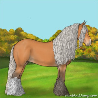 Horse Color:Silver Bay 