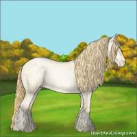 Horse Color:Buckskin Roan Pearl Dun