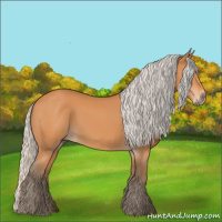 Horse Color:Silver Bay