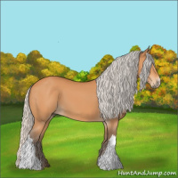 Horse Color:Silver Bay 
