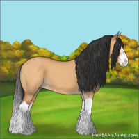 Horse Color:Bay Dun Sabino Splash 