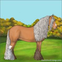 Horse Color:Silver Bay 