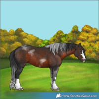 Horse Color:Brown 