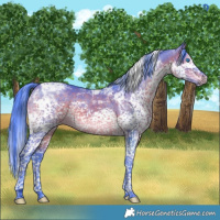 Horse Color:Watercolor Brown Dun Splash Tobiano Brindle