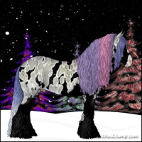 Horse Color:Watercolor Bay Ice Onyx Splash Appaloosa 