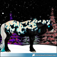 Horse Color:Palomino Roan Onyx Splash Appaloosa 