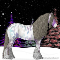 Horse Color:Watercolor Red Onyx Roan Appaloosa 