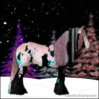 Horse Color:Watercolor White Spotted Red Onyx Roan Splash Appaloosa 