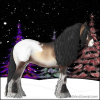 Horse Color:Bay Onyx Appaloosa Rabicano 