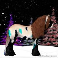 Horse Color:Bay Onyx Splash Appaloosa 