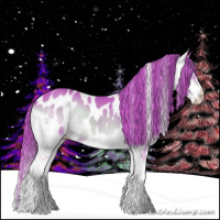 Horse Color:Watercolor Red Onyx Splash Appaloosa 
