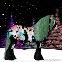 Horse Color:Watercolor Bay Onyx Splash Appaloosa 