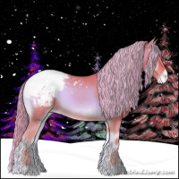 Horse Color:Watercolor Red Onyx Appaloosa