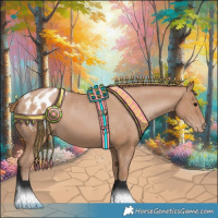 Horse Color:Black Pearl Appaloosa 