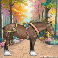 Horse Color:Gray Black Pearl Appaloosa 