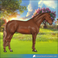 Horse Color:Chestnut 
