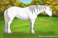 Horse Color:Smoky Creme Sabino 