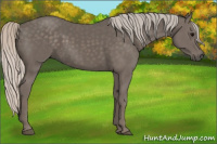 Horse Color:Silver Black 