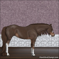 Horse Color:Liver Chestnut  and Liver Chestnut 