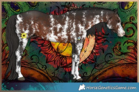 Horse Color:Liver Chestnut Sabino