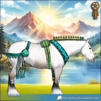 Horse Color:Gray Grullo Pearl Appaloosa  and Gray Black Appaloosa 