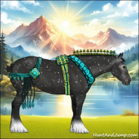Horse Color:Gray Black Appaloosa