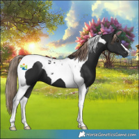 Horse Color:Liver Chestnut Tobiano 