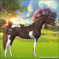 Horse Color:Liver Chestnut Tobiano 