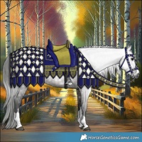 Horse Color:Gray Grullo