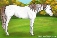 Horse Color:White Spotted Classic Champagne Dun Splash Tobiano Near Leopard Rabicano 