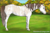 Horse Color:White Spotted Amber Champagne Dun Splash 