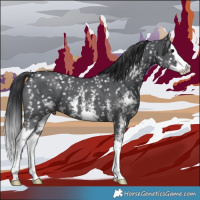 Horse Color:Black Sabino Splash Snowflake Varnish