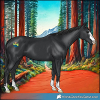 Horse Color:Black 