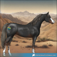 Horse Color:Liver Chestnut Mushroom 