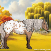 Horse Color:Silver Brown Dun Appaloosa