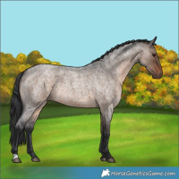 Horse Color:Brown Roan Dun 