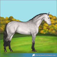 Horse Color:Platinum Buckskin Dun 
