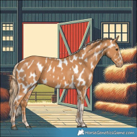 Horse Color:Chestnut Near Leopard 