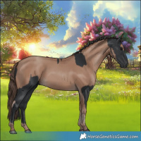 Horse Color:Black  and Classic Champagne 