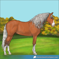 Horse Color:Silver Bay