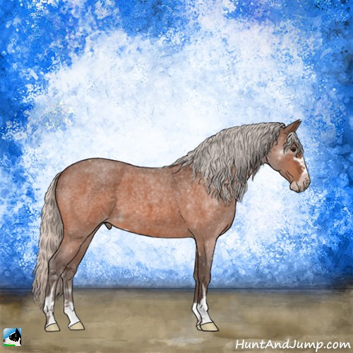 Horse Color:Silver Bay Roan Sabino 