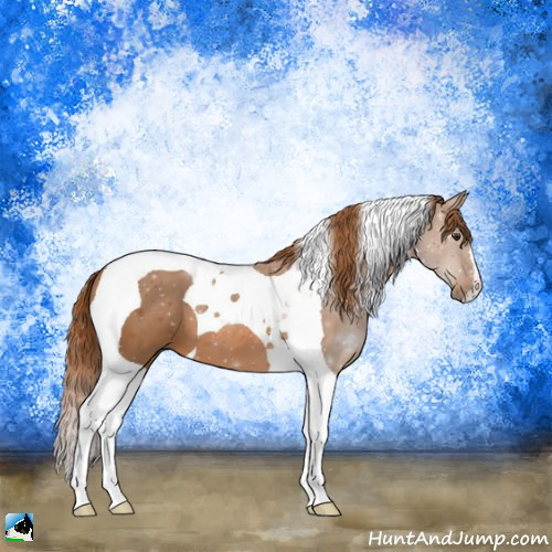 Horse Color:Chestnut Tobiano 