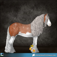 Horse Color:Silver Bay Splash