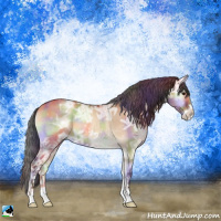 Horse Color:Nacre Bay Ice Onyx Sabino