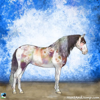 Horse Color:Nacre Bay Ice Onyx Sabino Tobiano Rabicano 